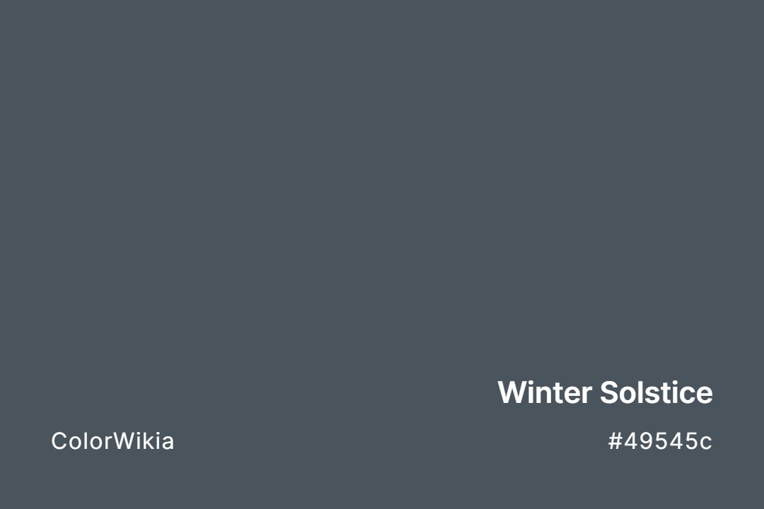 Winter Solstice Color – #49545c: Codes and Complete Breakdown