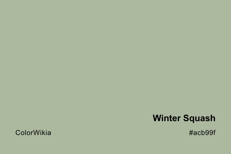 Winter Squash Color – #acb99f: Codes and Complete Breakdown
