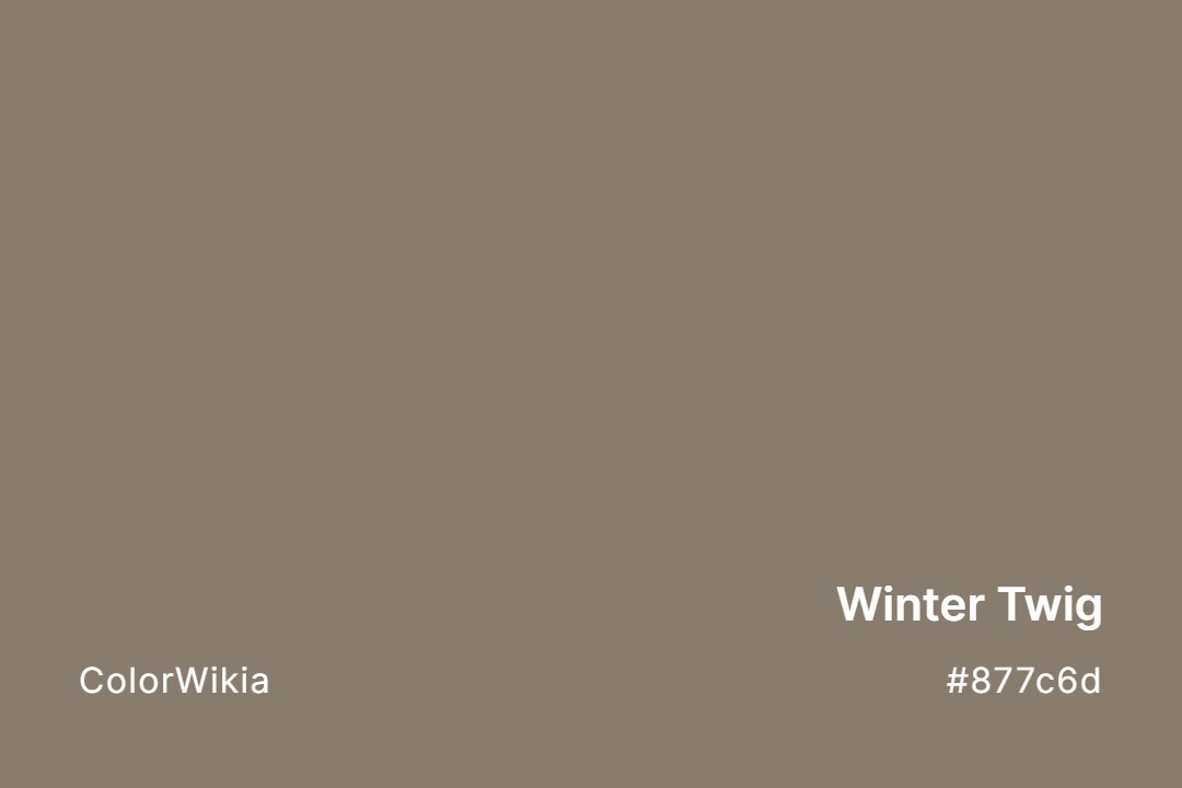 Winter Twig Color – #877c6d: Codes and Complete Breakdown