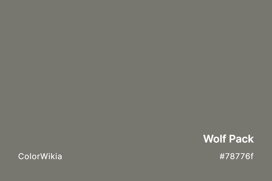 Wolf Pack Color – #78776f: Codes and Complete Breakdown