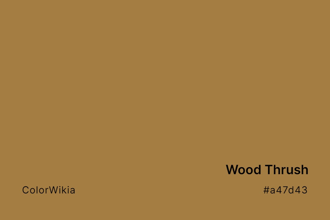 wood thrush color a47d43