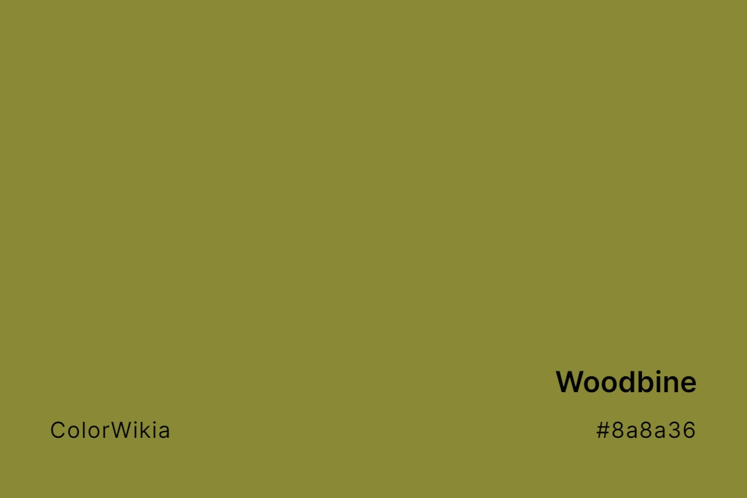 Woodbine Color – #8a8a36: Codes and Complete Breakdown
