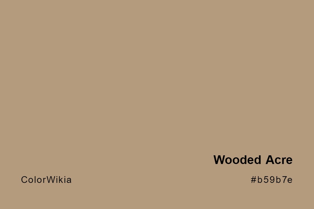 Wooded Acre Color – #b59b7e: Codes and Complete Breakdown