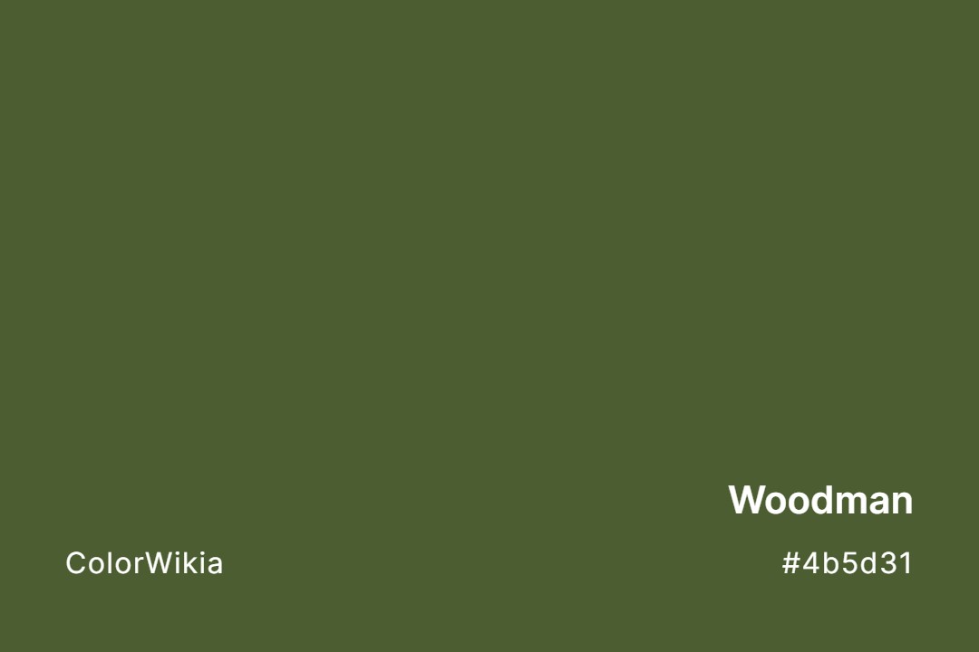 Woodman Color – #4b5d31: Codes and Complete Breakdown