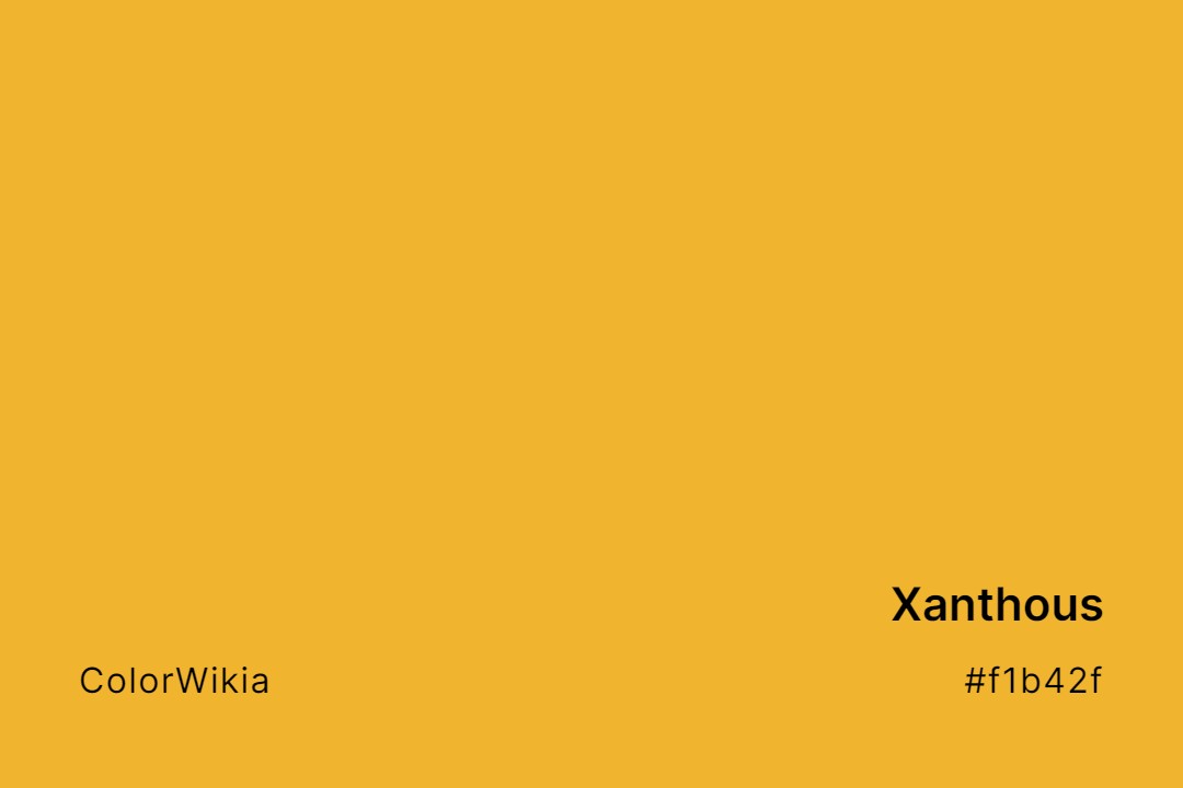 Xanthous Color – #f1b42f: Codes and Complete Breakdown