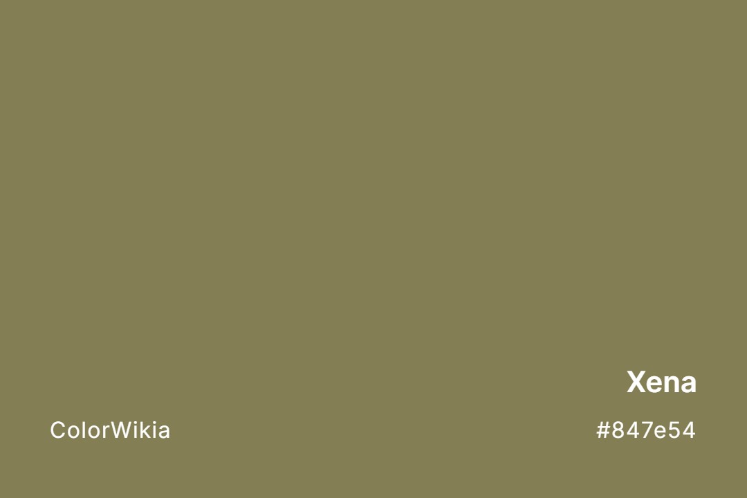 Xena Color – #847e54: Codes and Complete Breakdown
