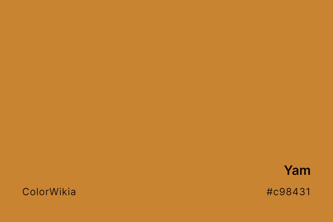 Yam Color – #c98431: Codes and Complete Breakdown