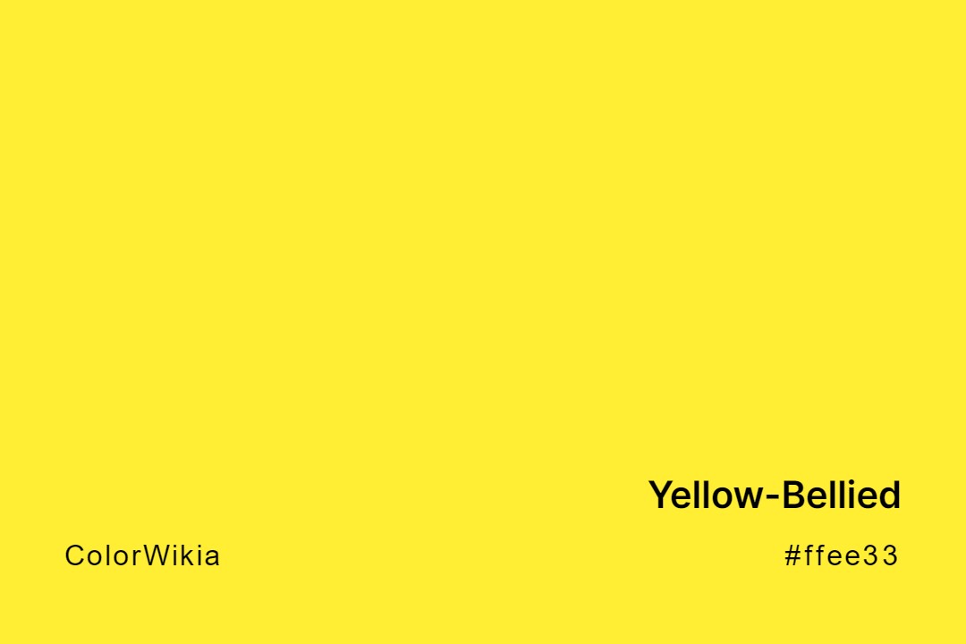 Yellow-Bellied Color – #ffee33: Codes and Complete Breakdown