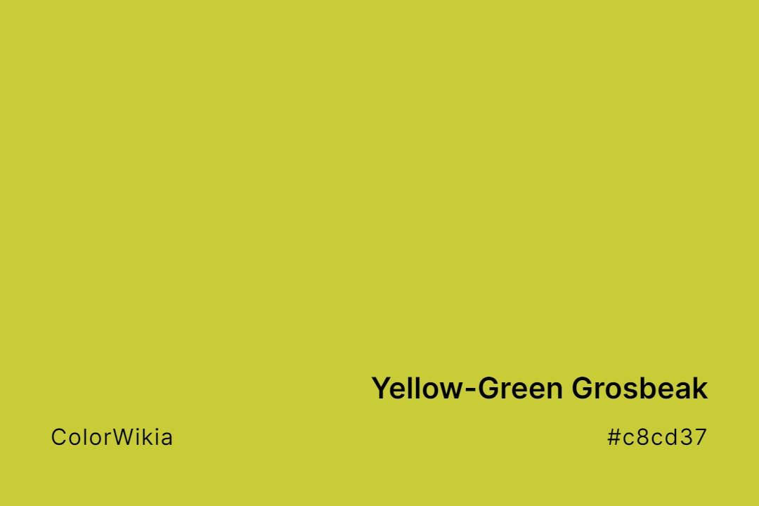 Yellow-Green Grosbeak Color – #c8cd37: Codes and Complete Breakdown