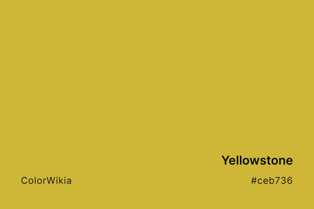 Yellowstone Color – #ceb736: Codes and Complete Breakdown