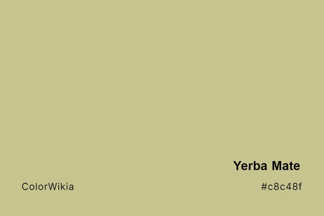 Yerba Mate Color – #c8c48f: Codes and Complete Breakdown