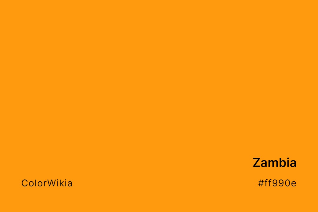 Zambia Color – #ff990e: Codes and Complete Breakdown