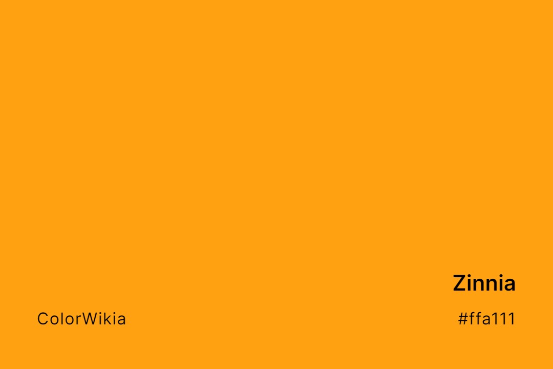 Zinnia Color – #ffa111: Codes and Complete Breakdown